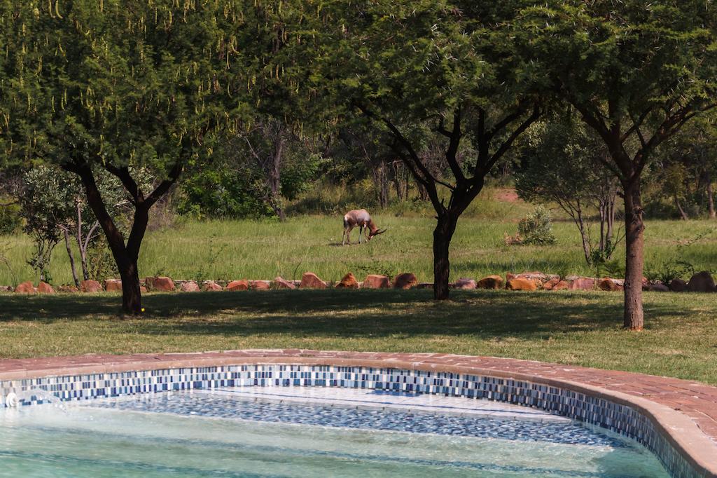 Birdsong Cottages Modimolle Exterior foto